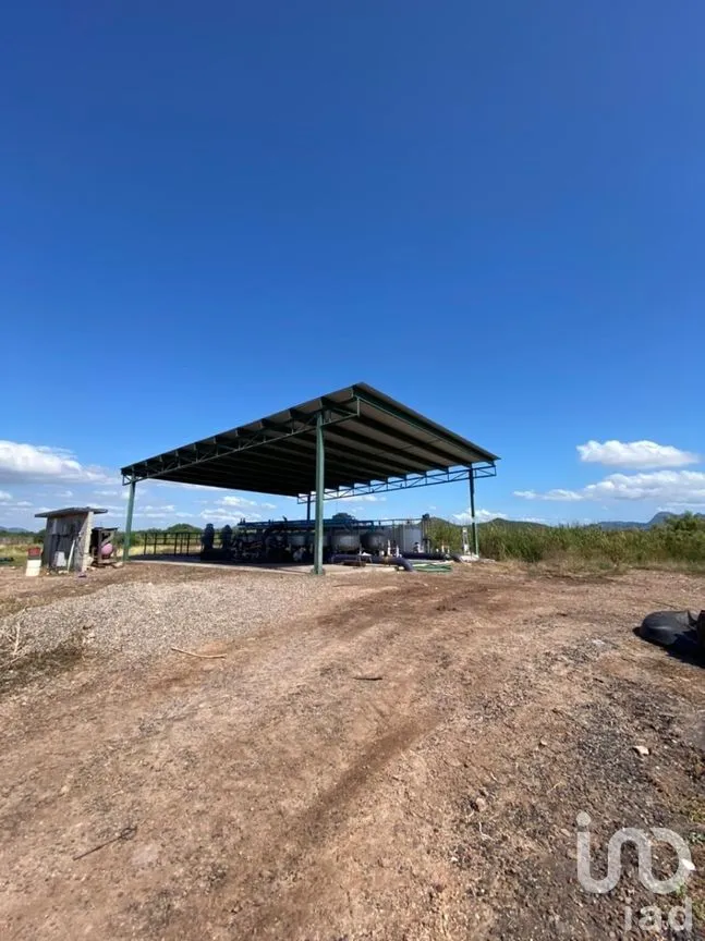 Terreno en Venta en Mochicahui, El Fuerte, Sinaloa | NEX-281534 | iad México | Foto 13 de 21