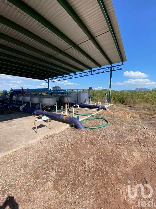 Terreno en Venta en Mochicahui, El Fuerte, Sinaloa | NEX-281534 | iad México | Foto 14 de 21