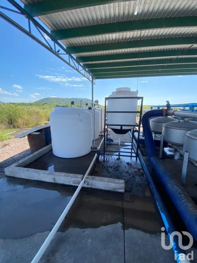 Terreno en Venta en Mochicahui, El Fuerte, Sinaloa | NEX-281534 | iad México | Foto 15 de 21