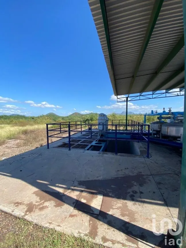 Terreno en Venta en Mochicahui, El Fuerte, Sinaloa | NEX-281534 | iad México | Foto 17 de 21