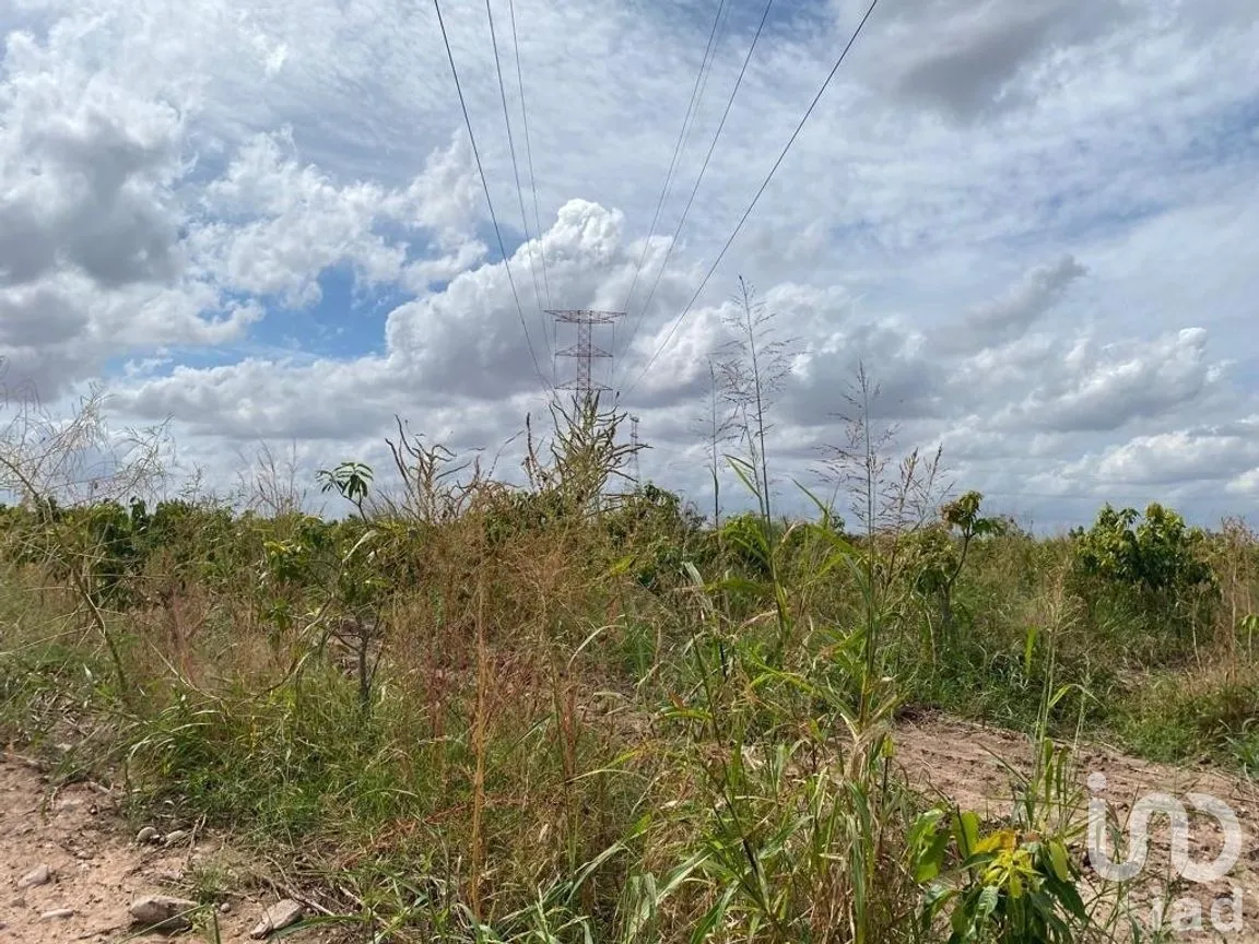 Terreno en Venta en Mochicahui, El Fuerte, Sinaloa | NEX-281534 | iad México | Foto 3 de 21