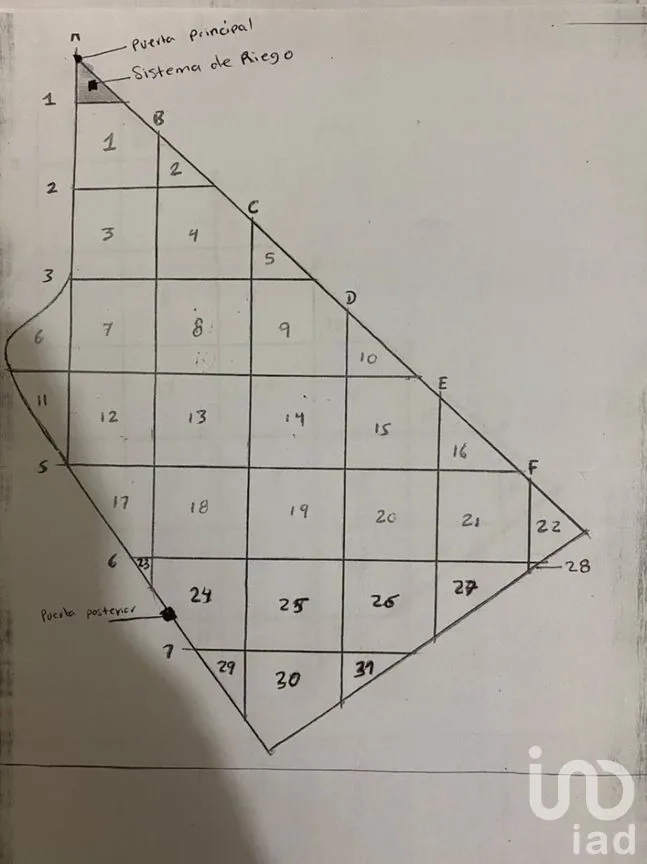 Terreno en Venta en Mochicahui, El Fuerte, Sinaloa | NEX-281534 | iad México | Foto 21 de 21