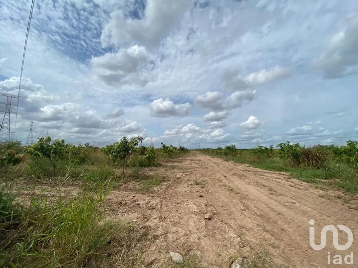 Terreno en Venta en Mochicahui, El Fuerte, Sinaloa | NEX-281534 | iad México | Foto 4 de 21