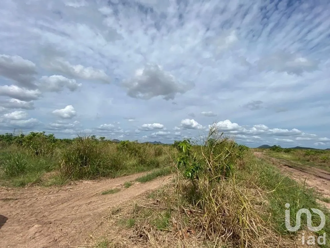 Terreno en Venta en Mochicahui, El Fuerte, Sinaloa | NEX-281534 | iad México | Foto 5 de 21