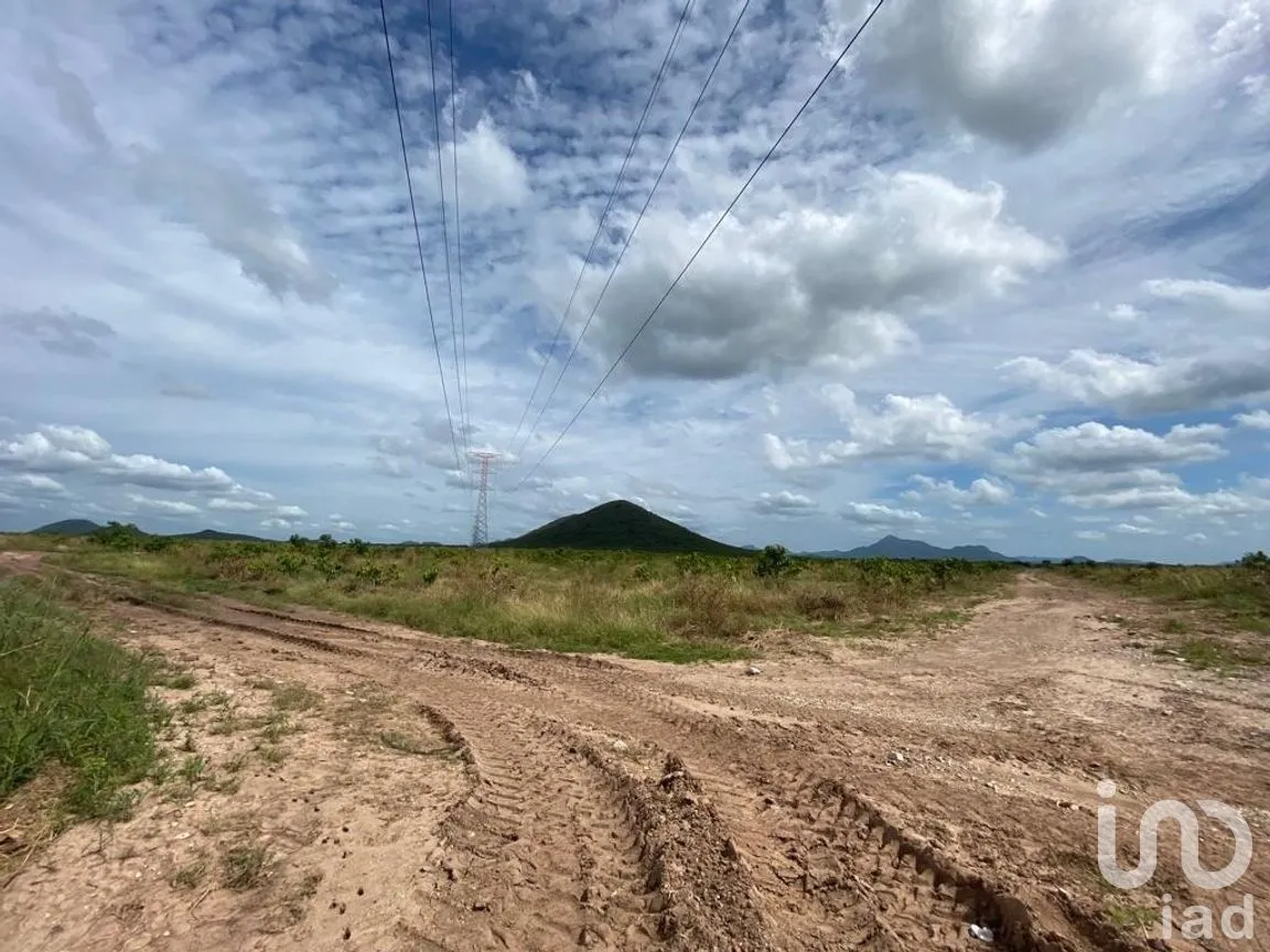 Terreno en Venta en Mochicahui, El Fuerte, Sinaloa | NEX-281534 | iad México | Foto 6 de 21