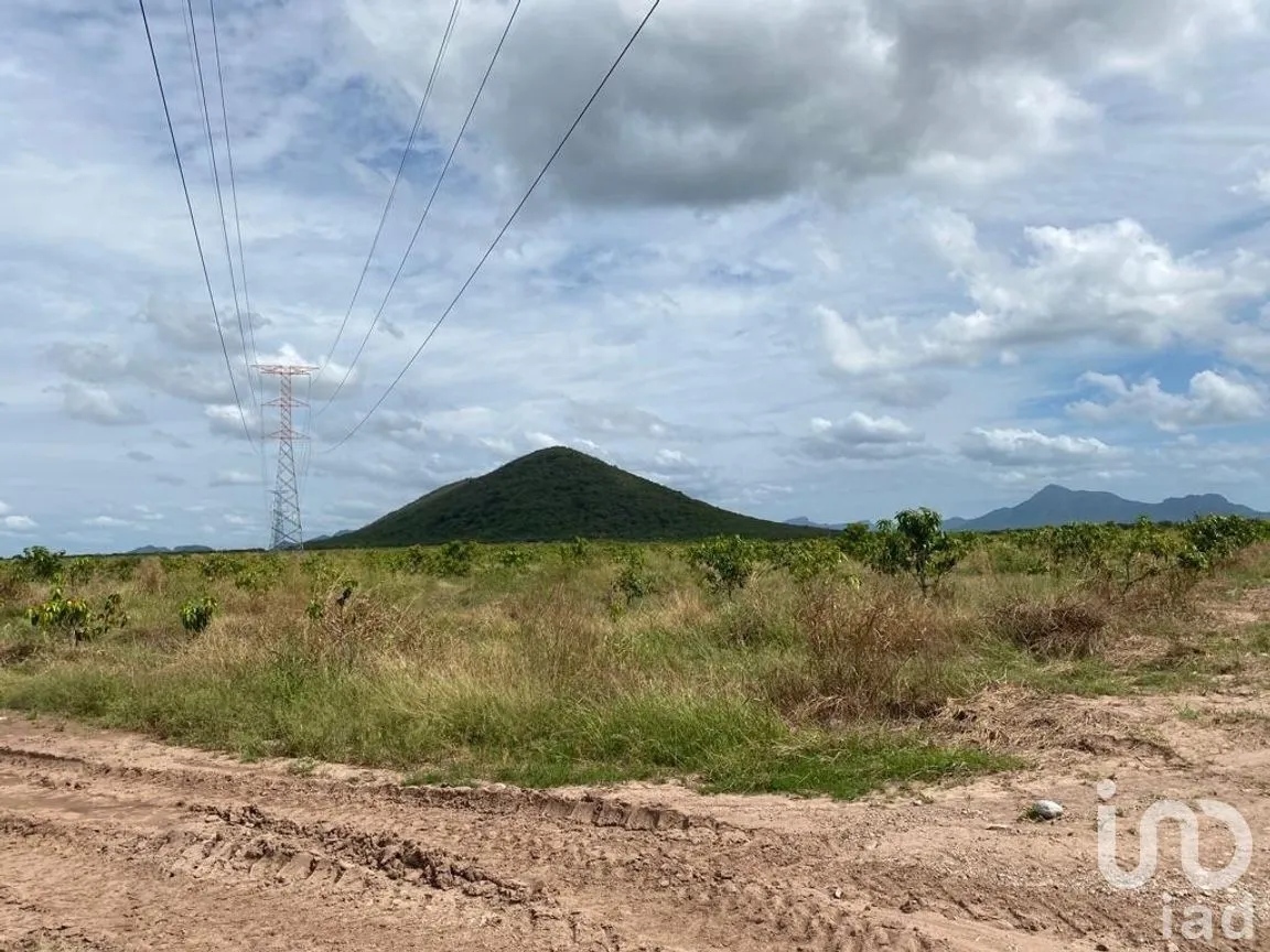 Terreno en Venta en Mochicahui, El Fuerte, Sinaloa | NEX-281534 | iad México | Foto 7 de 21