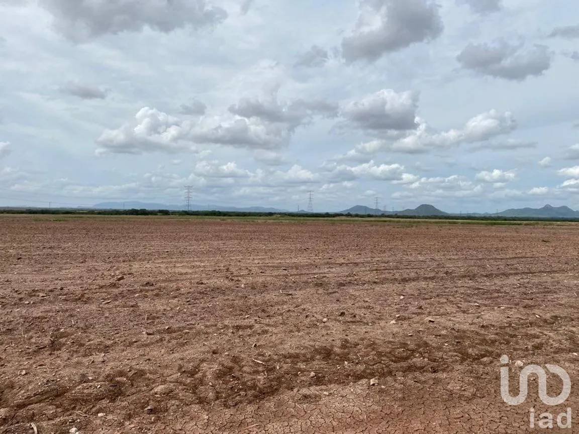Terreno en Venta en Mochicahui, El Fuerte, Sinaloa | NEX-281534 | iad México | Foto 8 de 21