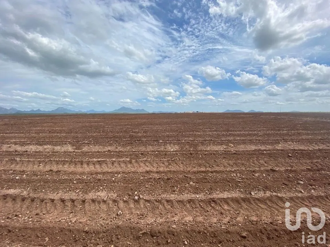 Terreno en Venta en Mochicahui, El Fuerte, Sinaloa | NEX-281534 | iad México | Foto 9 de 21