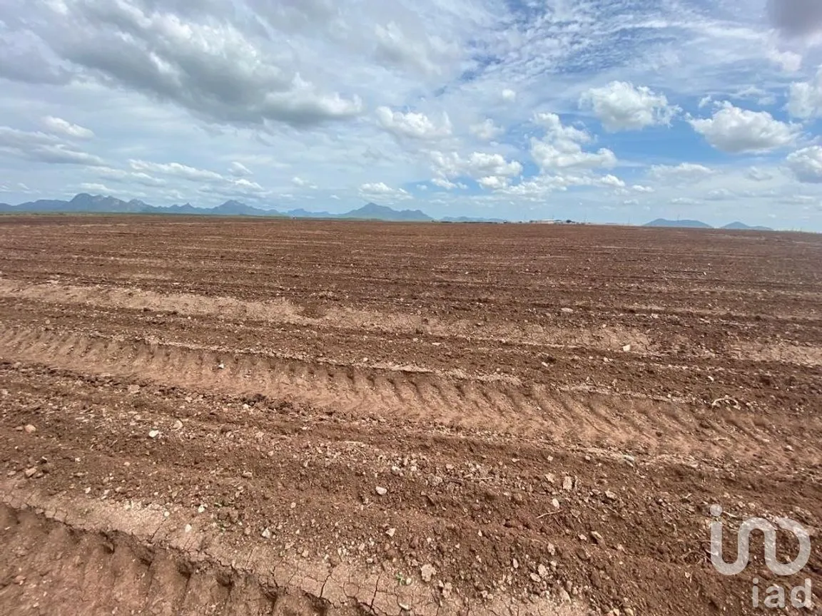 Terreno en Venta en Mochicahui, El Fuerte, Sinaloa | NEX-281534 | iad México | Foto 10 de 21