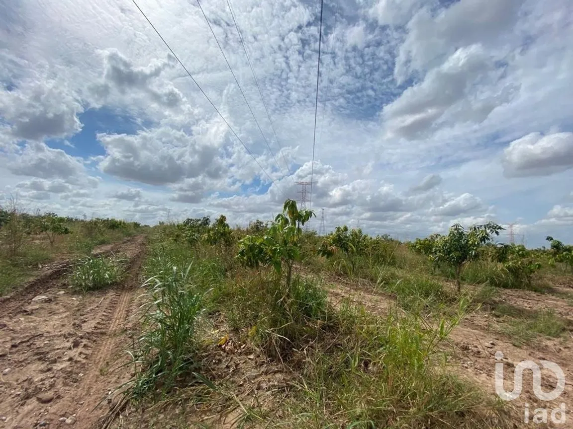 Terreno en Venta en Mochicahui, El Fuerte, Sinaloa | NEX-281534 | iad México | Foto 1 de 21