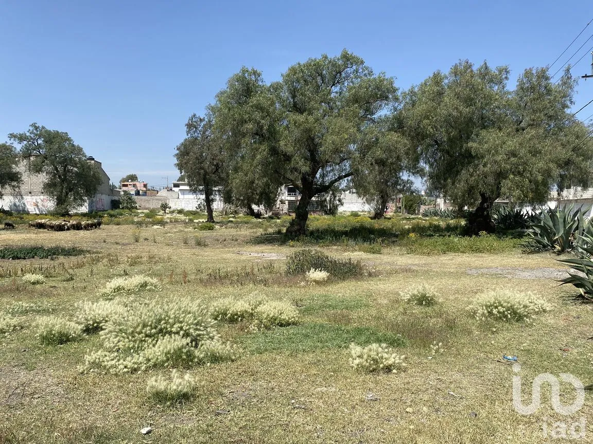 Terreno en Venta en Santiago 2a. Sección, Zumpango, Estado de México | NEX-281563 | iad México | Foto 10 de 38