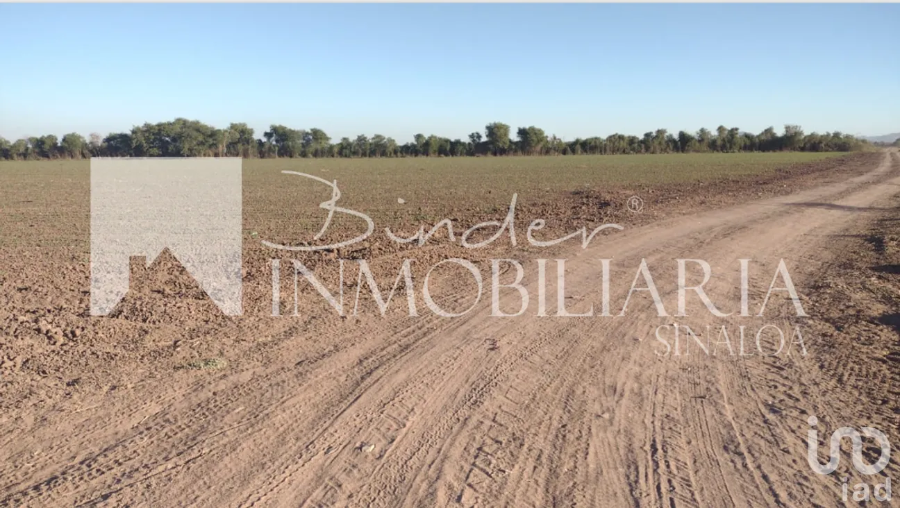 Terreno en Venta en Topolobampo Centro, Ahome, Sinaloa | NEX-281567 | iad México | Foto 2 de 4