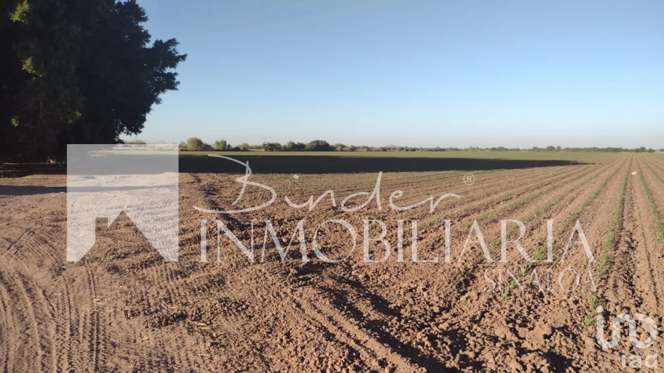 Terreno en Venta en Topolobampo Centro, Ahome, Sinaloa | NEX-281567 | iad México | Foto 3 de 4