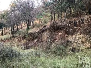 NEX-281573 - Terreno en Venta en Santiago Analco, CP 52043, Estado de México.