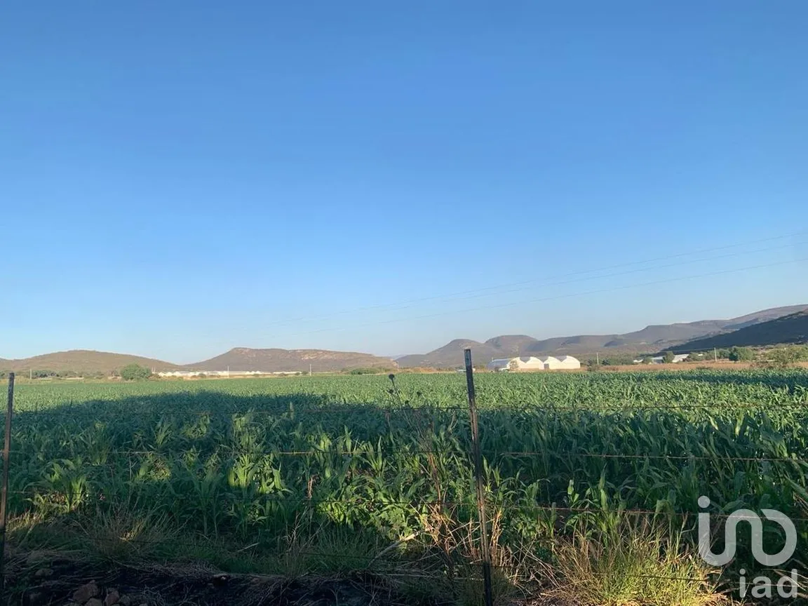 Terreno en Venta en El Sáuz, Tequisquiapan, Querétaro | NEX-281581 | iad México | Foto 2 de 5
