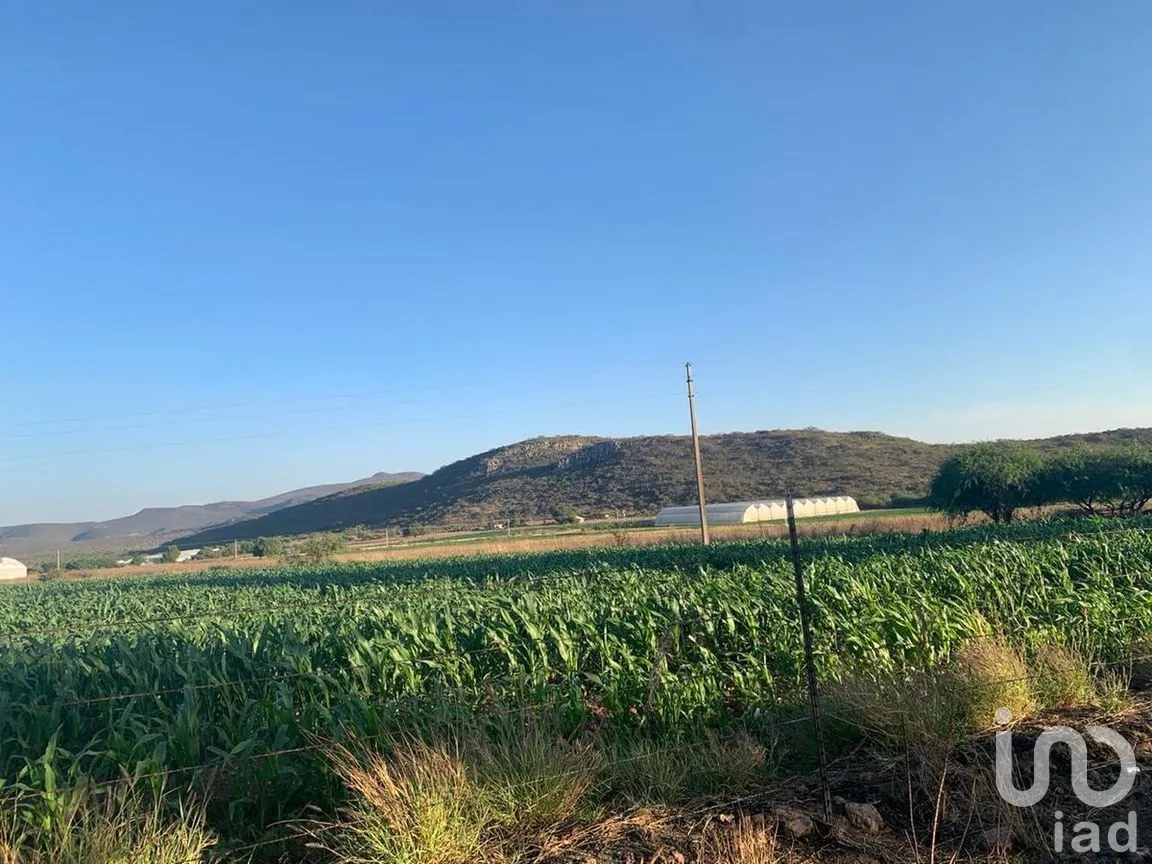 Terreno en Venta en El Sáuz, Tequisquiapan, Querétaro | NEX-281581 | iad México | Foto 3 de 5