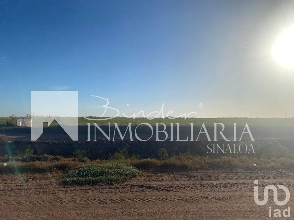 Terreno en Venta en Santa Rosa, Ahome, Sinaloa | NEX-281582 | iad México | Foto 2 de 17