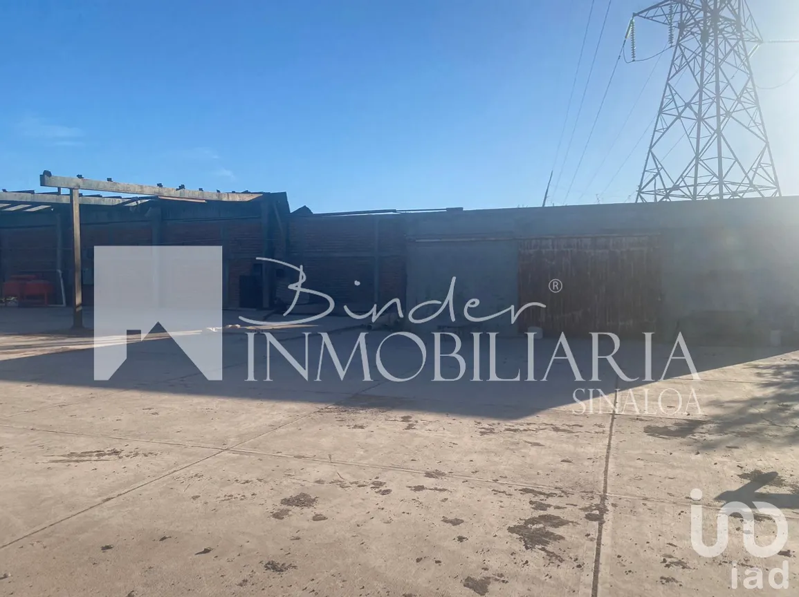 Terreno en Venta en Santa Rosa, Ahome, Sinaloa | NEX-281582 | iad México | Foto 11 de 17