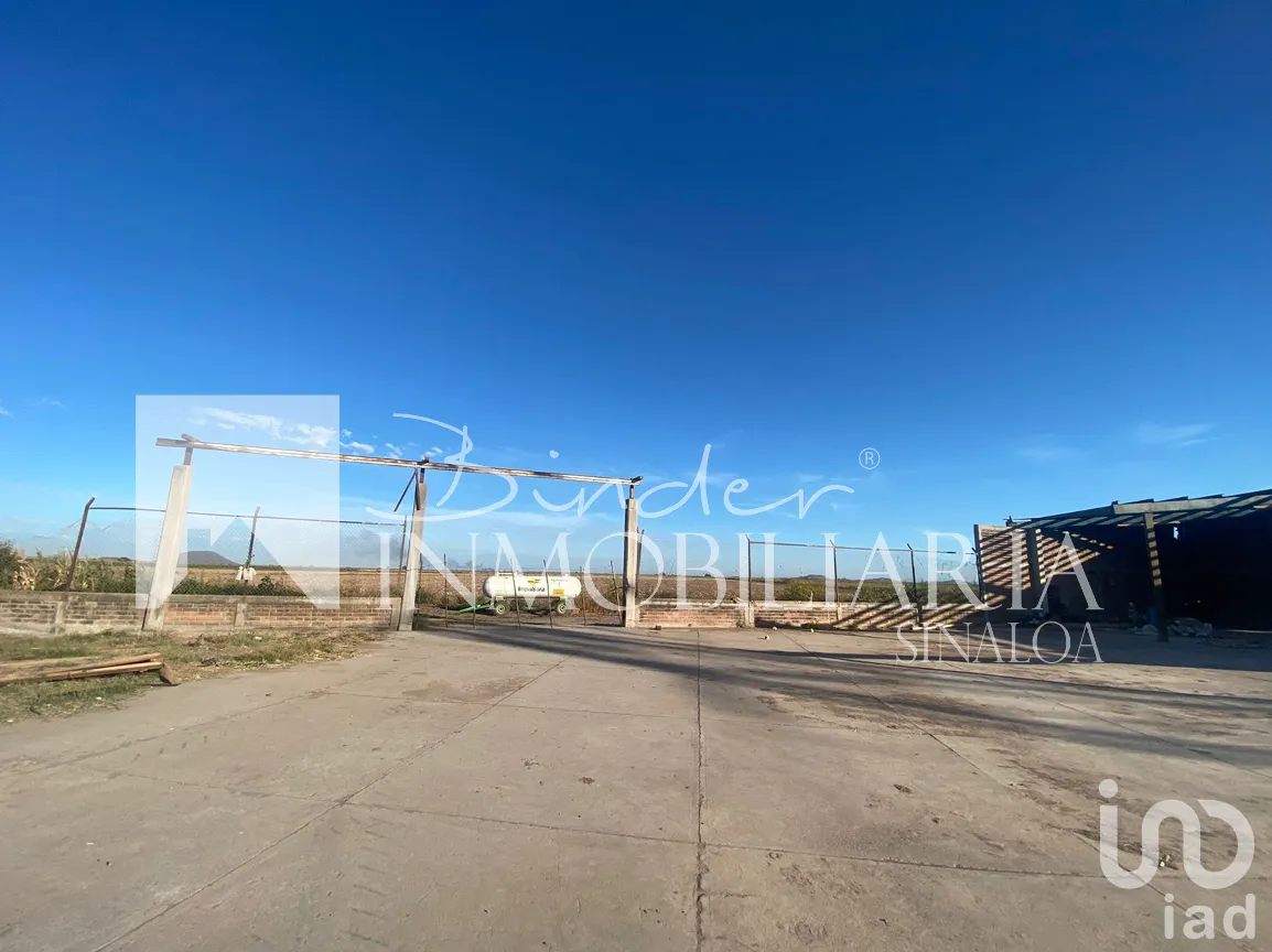 Terreno en Venta en Santa Rosa, Ahome, Sinaloa | NEX-281582 | iad México | Foto 13 de 17