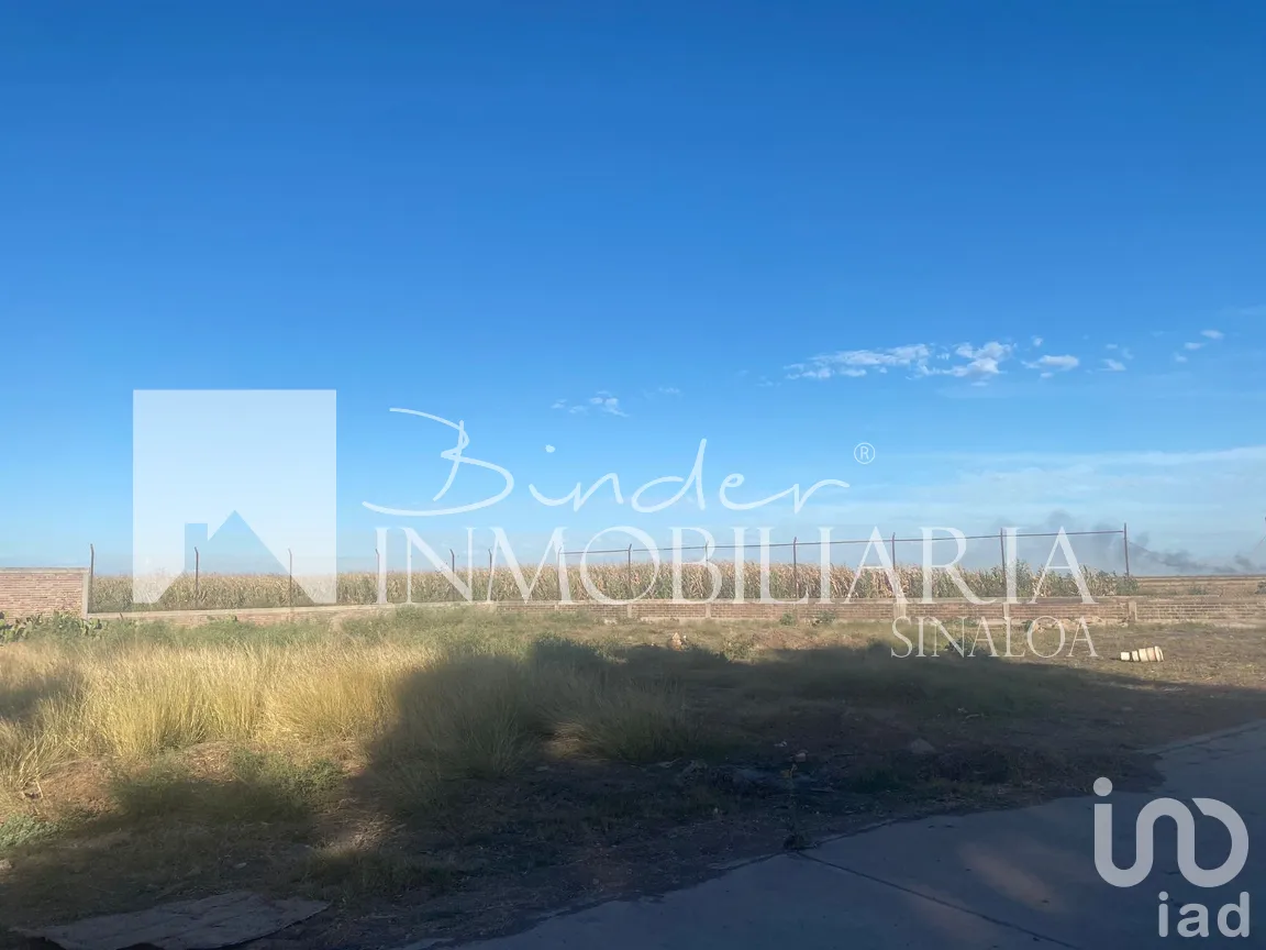 Terreno en Venta en Santa Rosa, Ahome, Sinaloa | NEX-281582 | iad México | Foto 14 de 17