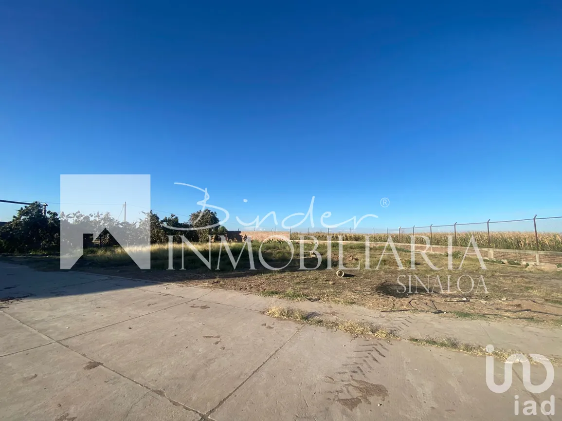 Terreno en Venta en Santa Rosa, Ahome, Sinaloa | NEX-281582 | iad México | Foto 15 de 17