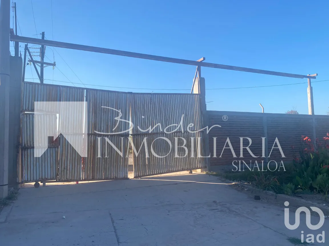 Terreno en Venta en Santa Rosa, Ahome, Sinaloa | NEX-281582 | iad México | Foto 17 de 17