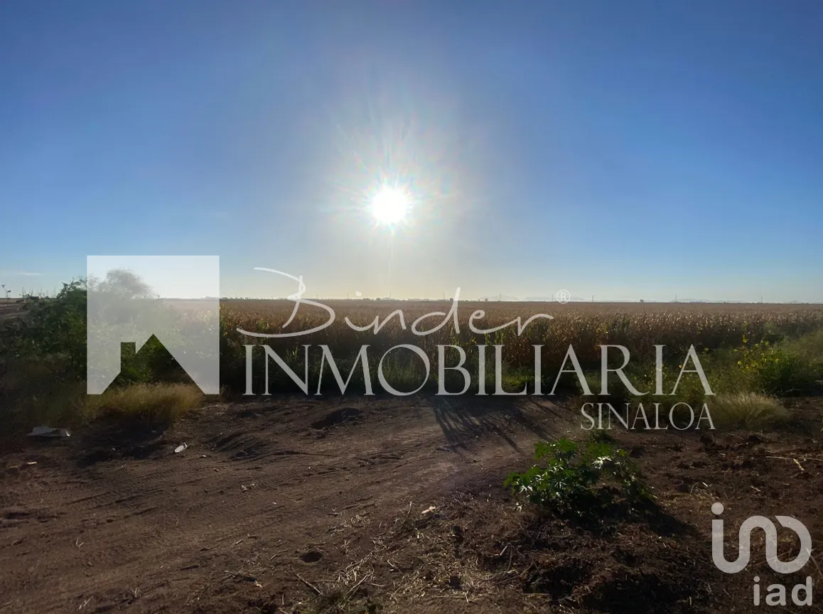 Terreno en Venta en Santa Rosa, Ahome, Sinaloa | NEX-281582 | iad México | Foto 3 de 17