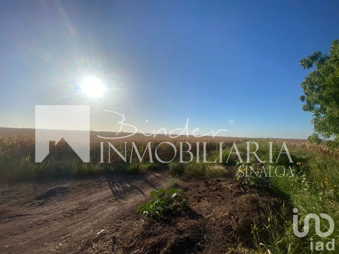 Terreno en Venta en Santa Rosa, Ahome, Sinaloa | NEX-281582 | iad México | Foto 4 de 17
