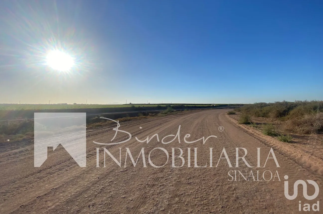 Terreno en Venta en Santa Rosa, Ahome, Sinaloa | NEX-281582 | iad México | Foto 5 de 17