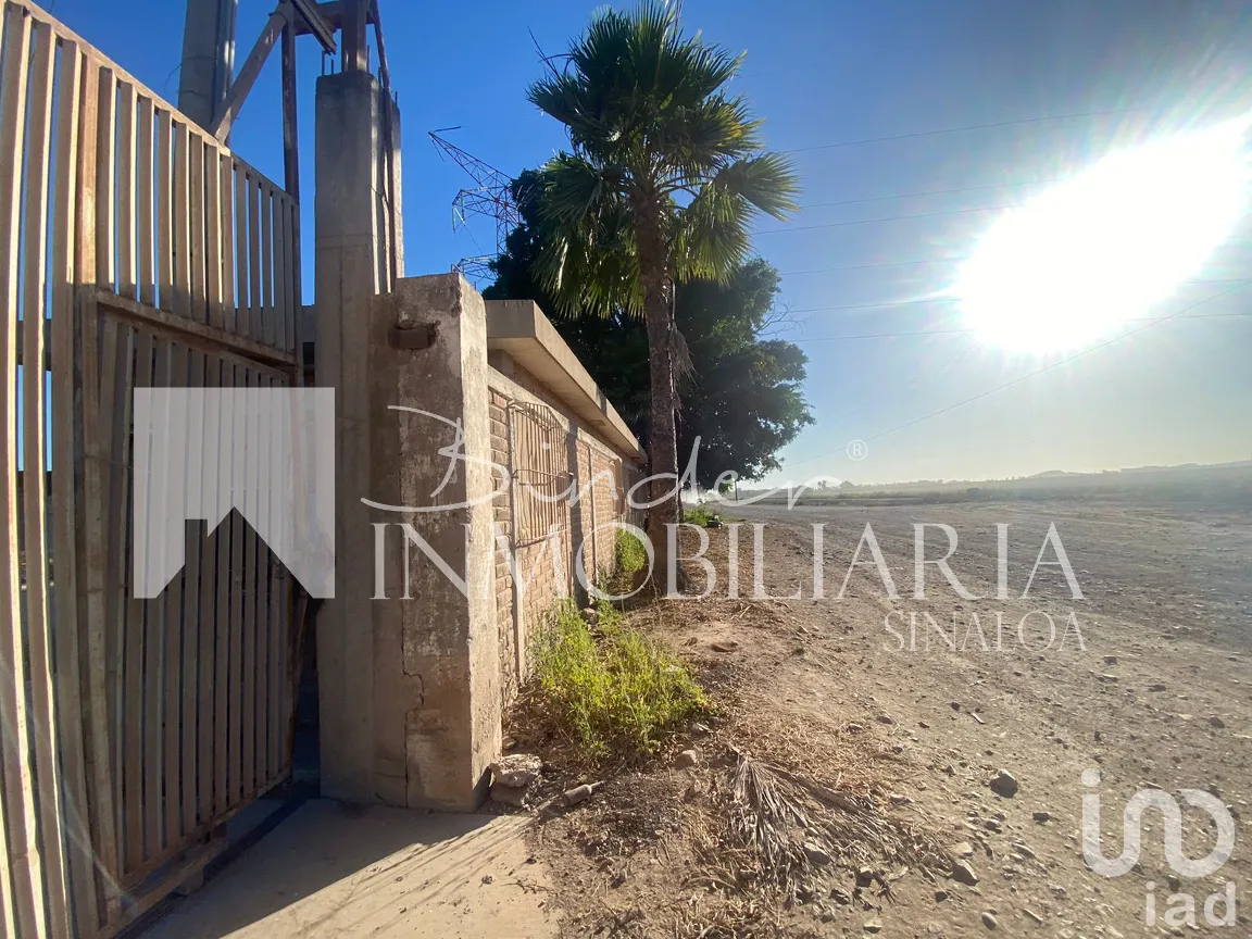 Terreno en Venta en Santa Rosa, Ahome, Sinaloa | NEX-281582 | iad México | Foto 6 de 17
