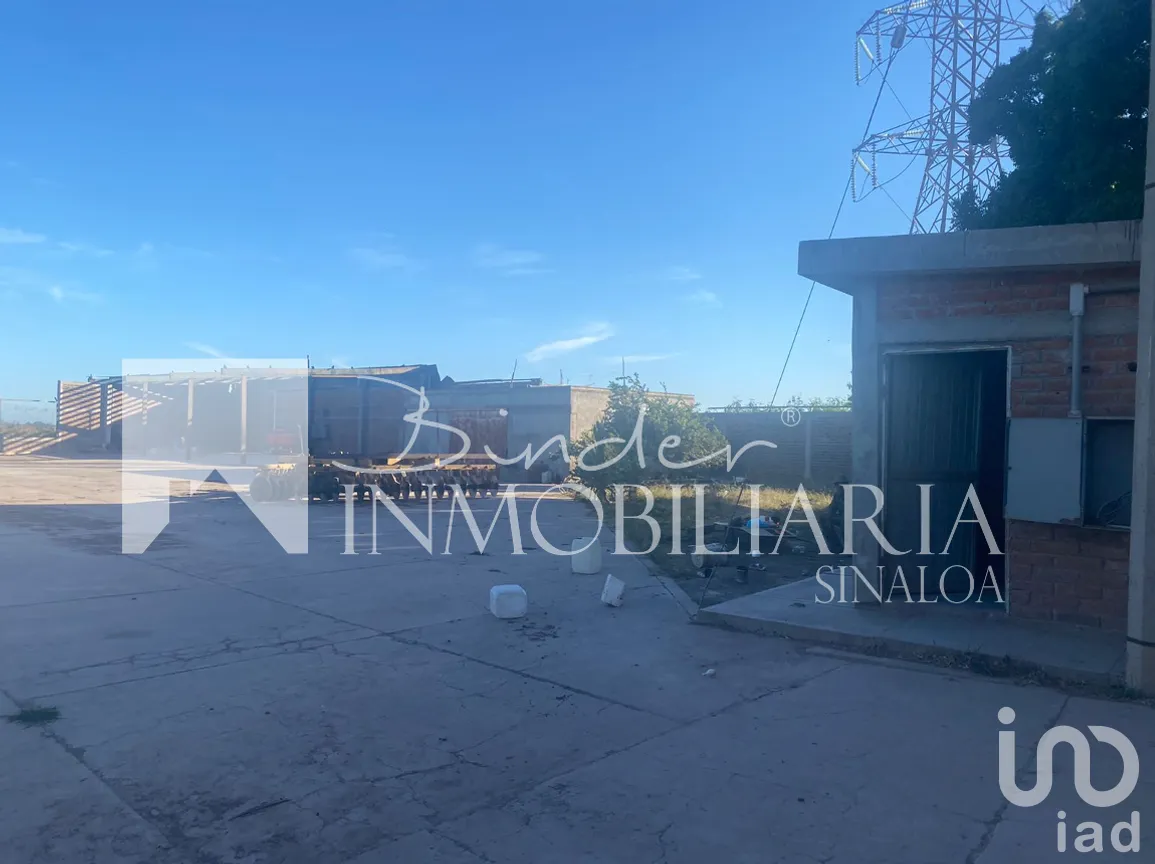 Terreno en Venta en Santa Rosa, Ahome, Sinaloa | NEX-281582 | iad México | Foto 8 de 17