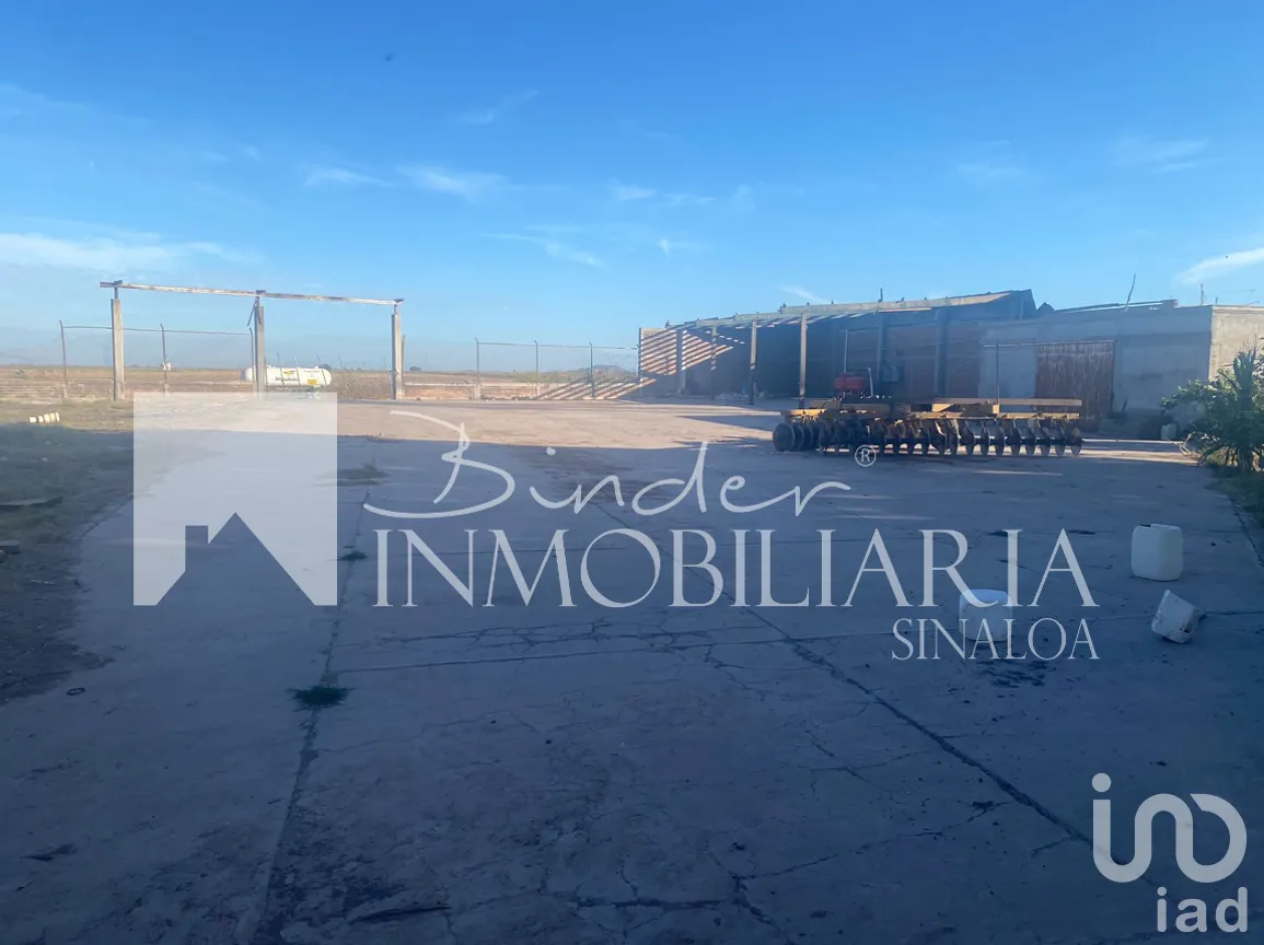 Terreno en Venta en Santa Rosa, Ahome, Sinaloa | NEX-281582 | iad México | Foto 9 de 17