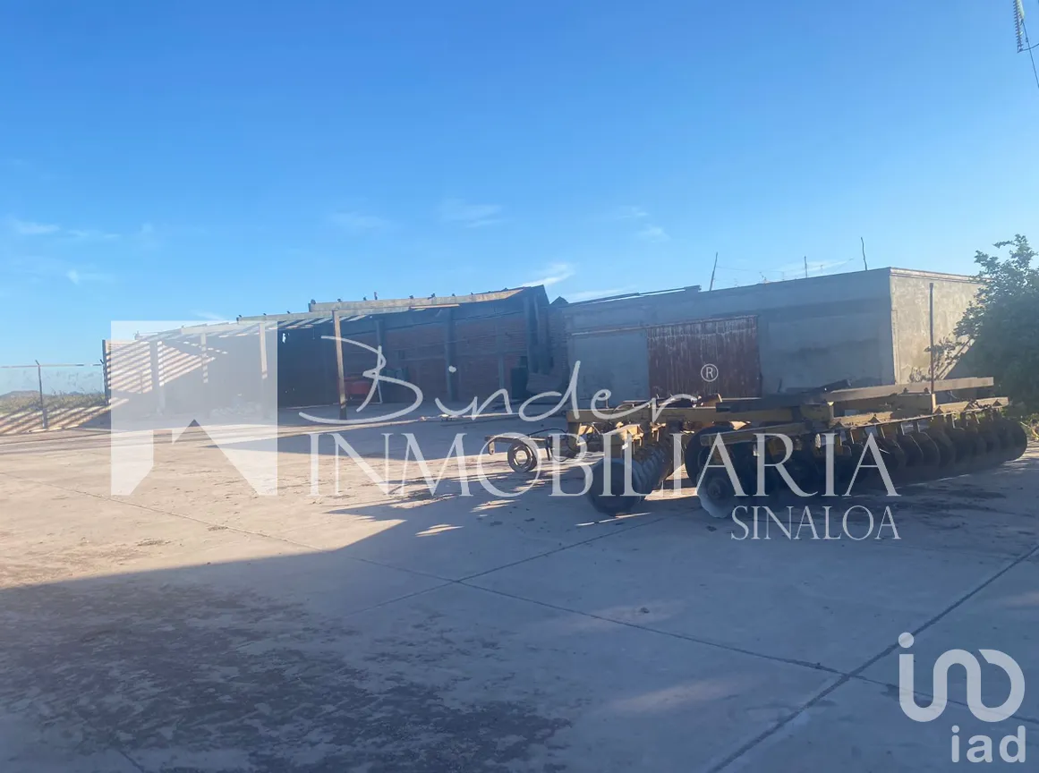 Terreno en Venta en Santa Rosa, Ahome, Sinaloa | NEX-281582 | iad México | Foto 10 de 17