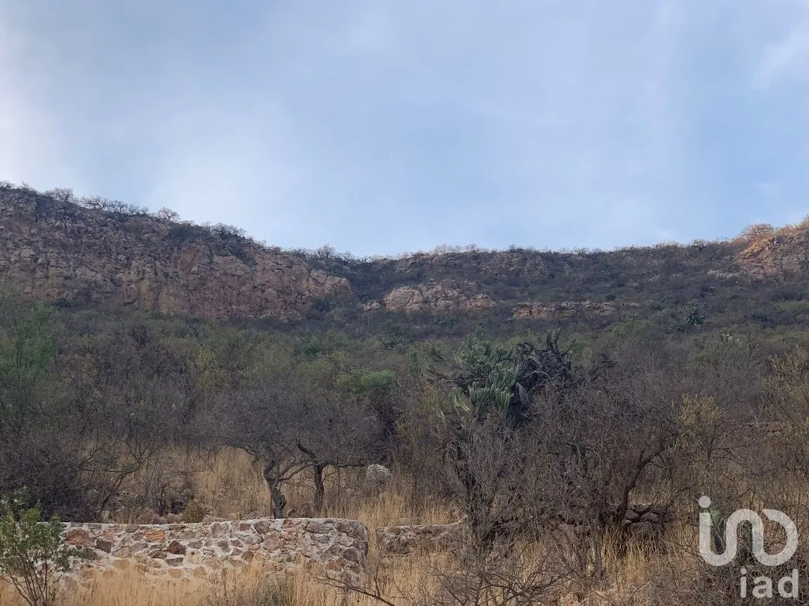 Terreno en Venta en El Ciervo, Ezequiel Montes, Querétaro | NEX-281587 | iad México | Foto 14 de 16