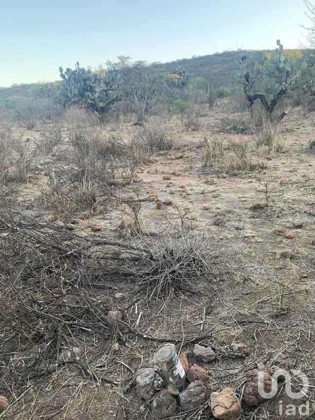 Terreno en Venta en El Ciervo, Ezequiel Montes, Querétaro | NEX-281588 | iad México | Foto 11 de 19