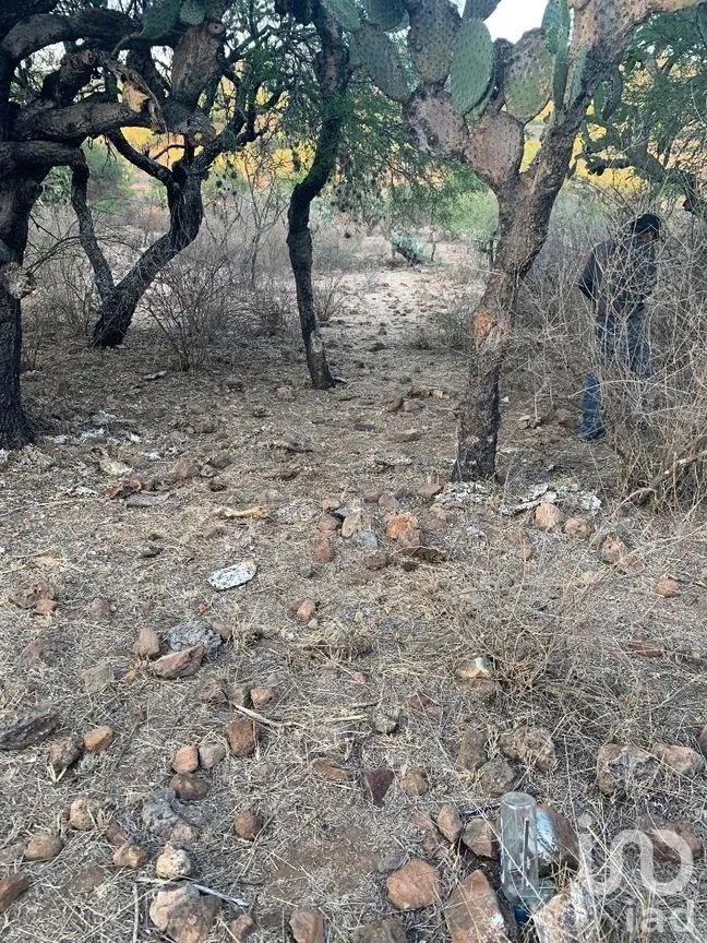 Terreno en Venta en El Ciervo, Ezequiel Montes, Querétaro | NEX-281588 | iad México | Foto 13 de 19