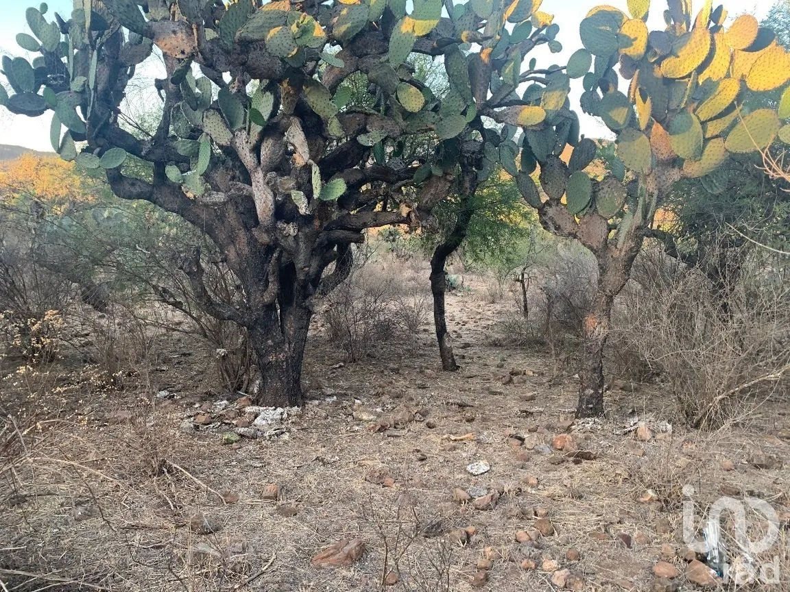 Terreno en Venta en El Ciervo, Ezequiel Montes, Querétaro | NEX-281588 | iad México | Foto 15 de 19