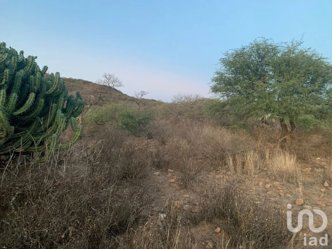 Terreno en Venta en El Ciervo, Ezequiel Montes, Querétaro | NEX-281588 | iad México | Foto 5 de 19