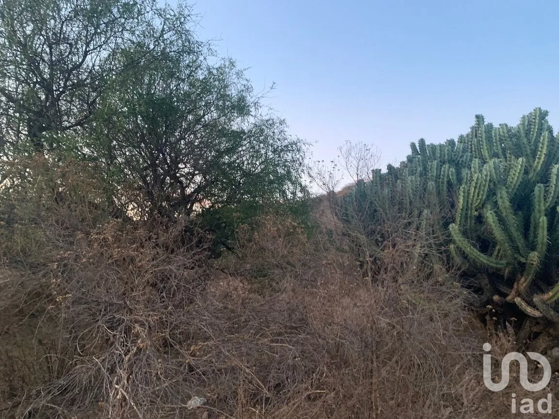 Terreno en Venta en El Ciervo, Ezequiel Montes, Querétaro | NEX-281588 | iad México | Foto 6 de 19