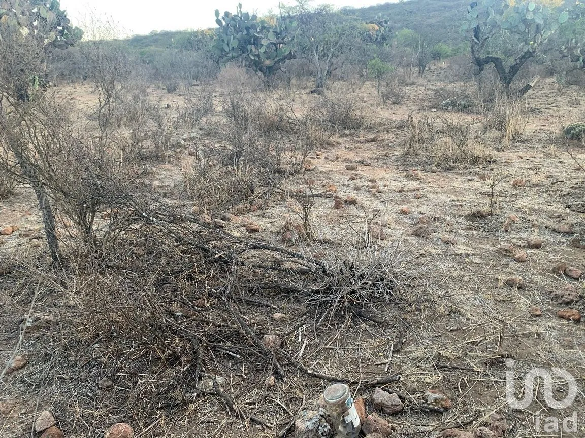 Terreno en Venta en El Ciervo, Ezequiel Montes, Querétaro | NEX-281588 | iad México | Foto 10 de 19