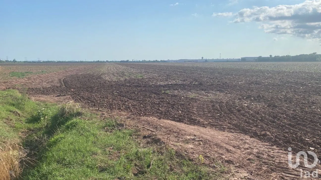 Terreno en Venta en Jiquilpan 2, Ahome, Sinaloa | NEX-281608 | iad México | Foto 2 de 5