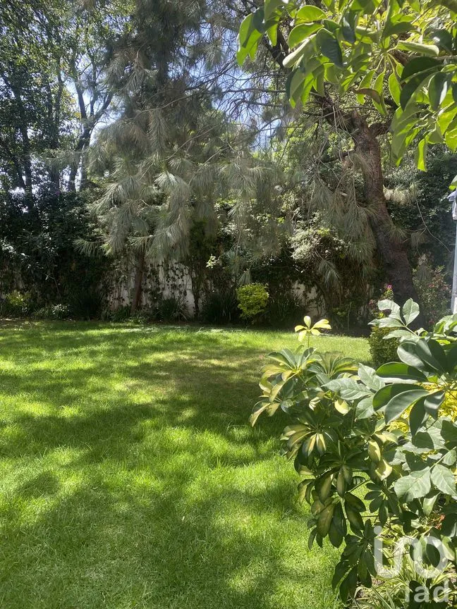 Departamento en Venta en Las Águilas, Álvaro Obregón, Ciudad de México | NEX-281614 | iad México | Foto 30 de 34