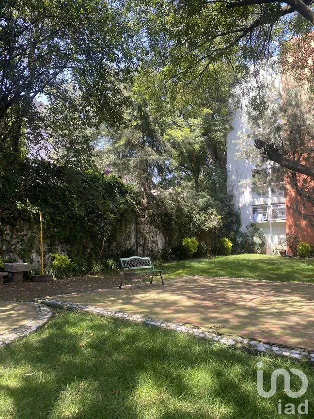 Departamento en Venta en Las Águilas, Álvaro Obregón, Ciudad de México | NEX-281614 | iad México | Foto 33 de 34