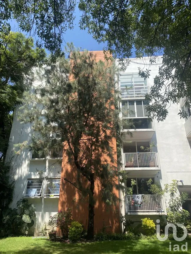Departamento en Venta en Las Águilas, Álvaro Obregón, Ciudad de México | NEX-281614 | iad México | Foto 1 de 34