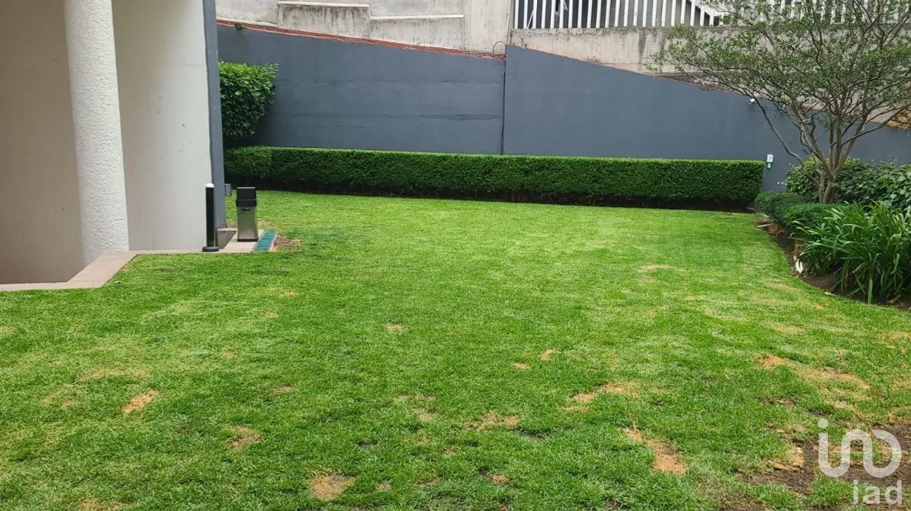 Departamento en Venta en Lomas de Bezares, Miguel Hidalgo, Ciudad de México | NEX-281629 | iad México | Foto 39 de 50