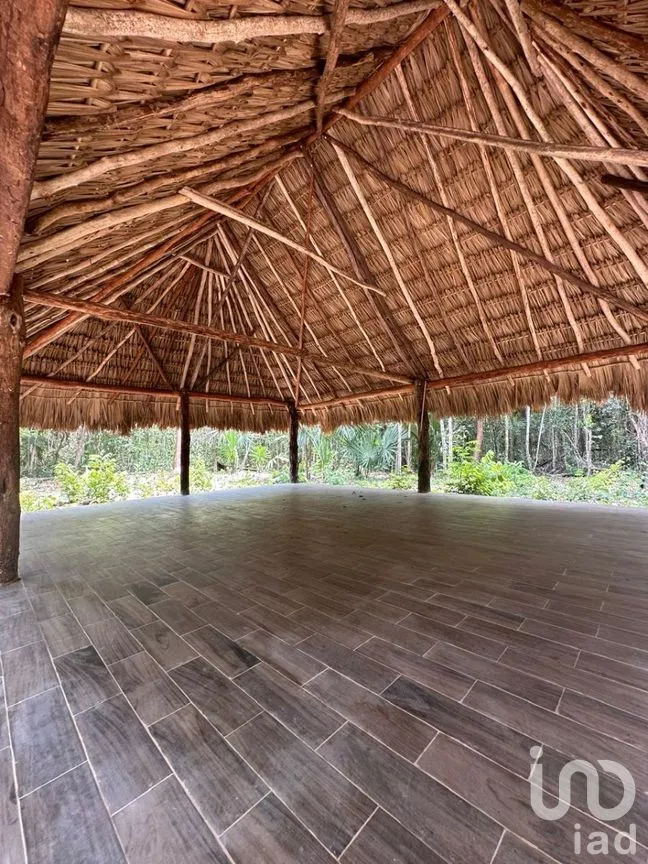 Terreno en Venta en Puerto Morelos, Puerto Morelos, Quintana Roo | NEX-281635 | iad México | Foto 2 de 8
