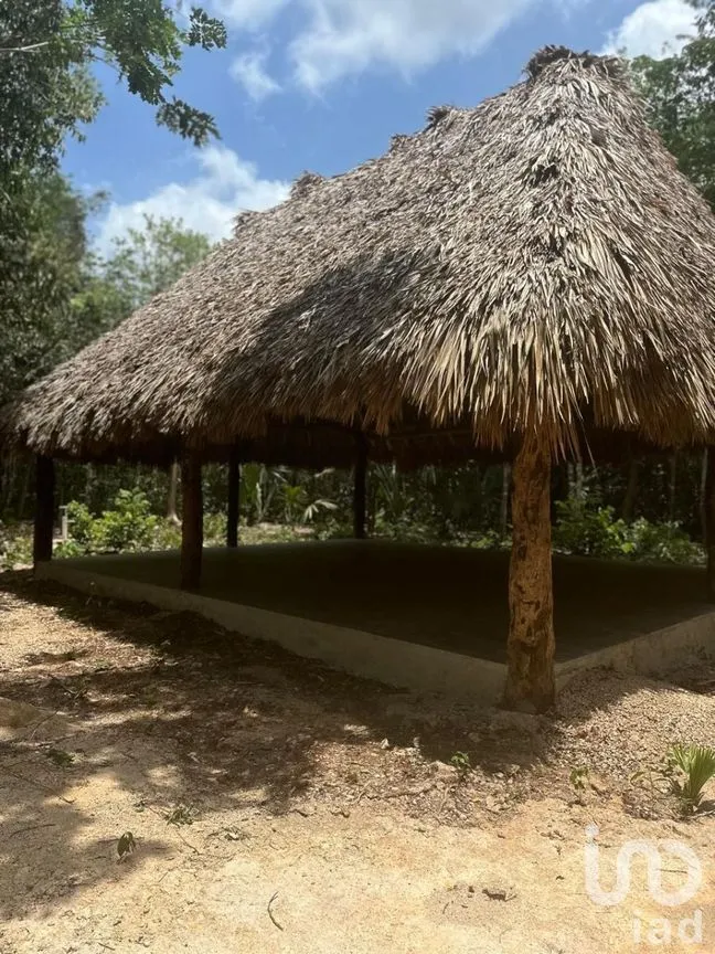 Terreno en Venta en Puerto Morelos, Puerto Morelos, Quintana Roo | NEX-281635 | iad México | Foto 1 de 8