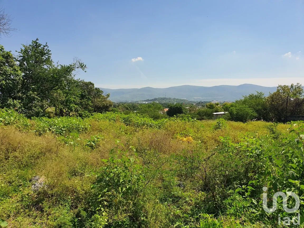 Terreno en Venta en Campo Sotelo, Temixco, Morelos | NEX-281658 | iad México | Foto 2 de 17