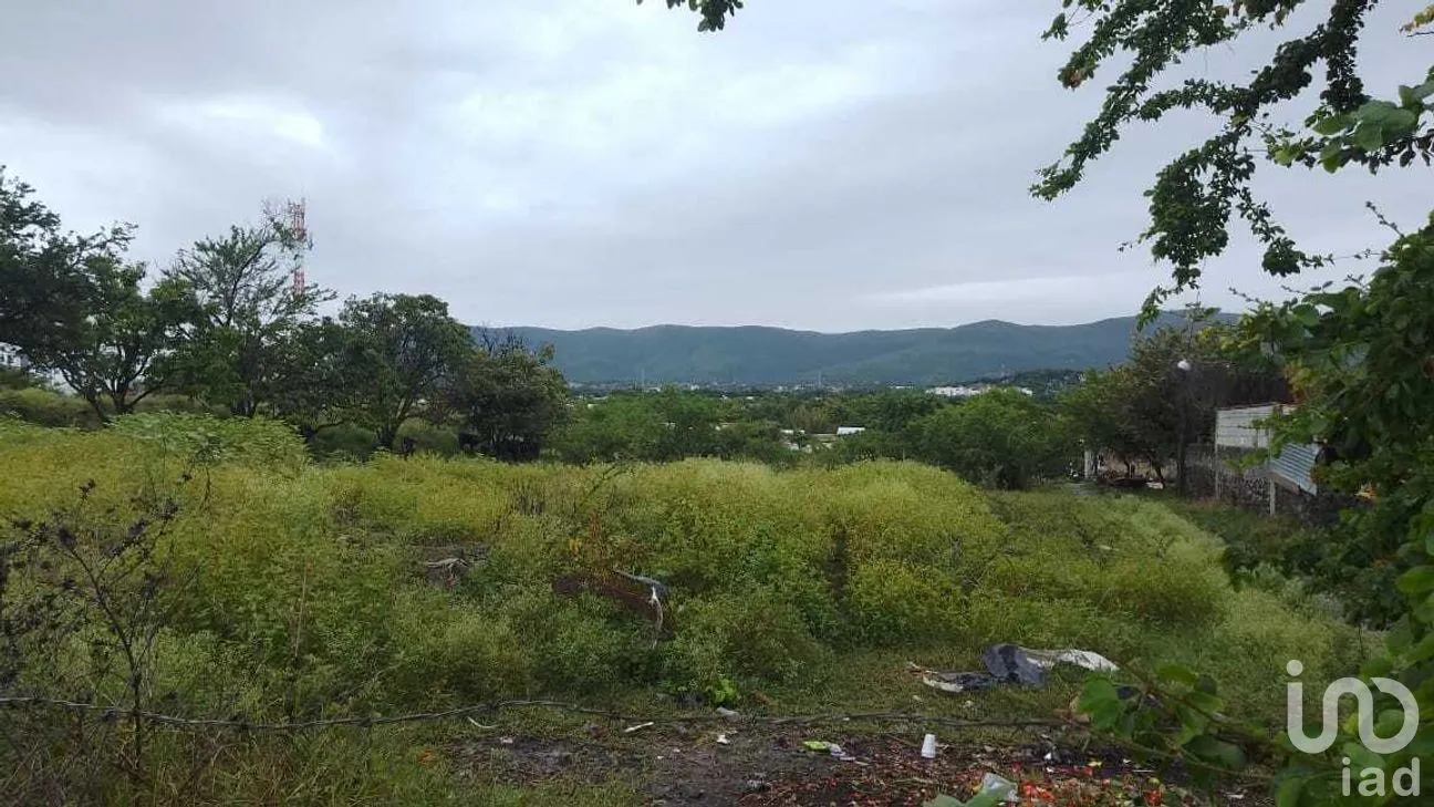 Terreno en Venta en Campo Sotelo, Temixco, Morelos | NEX-281658 | iad México | Foto 11 de 17