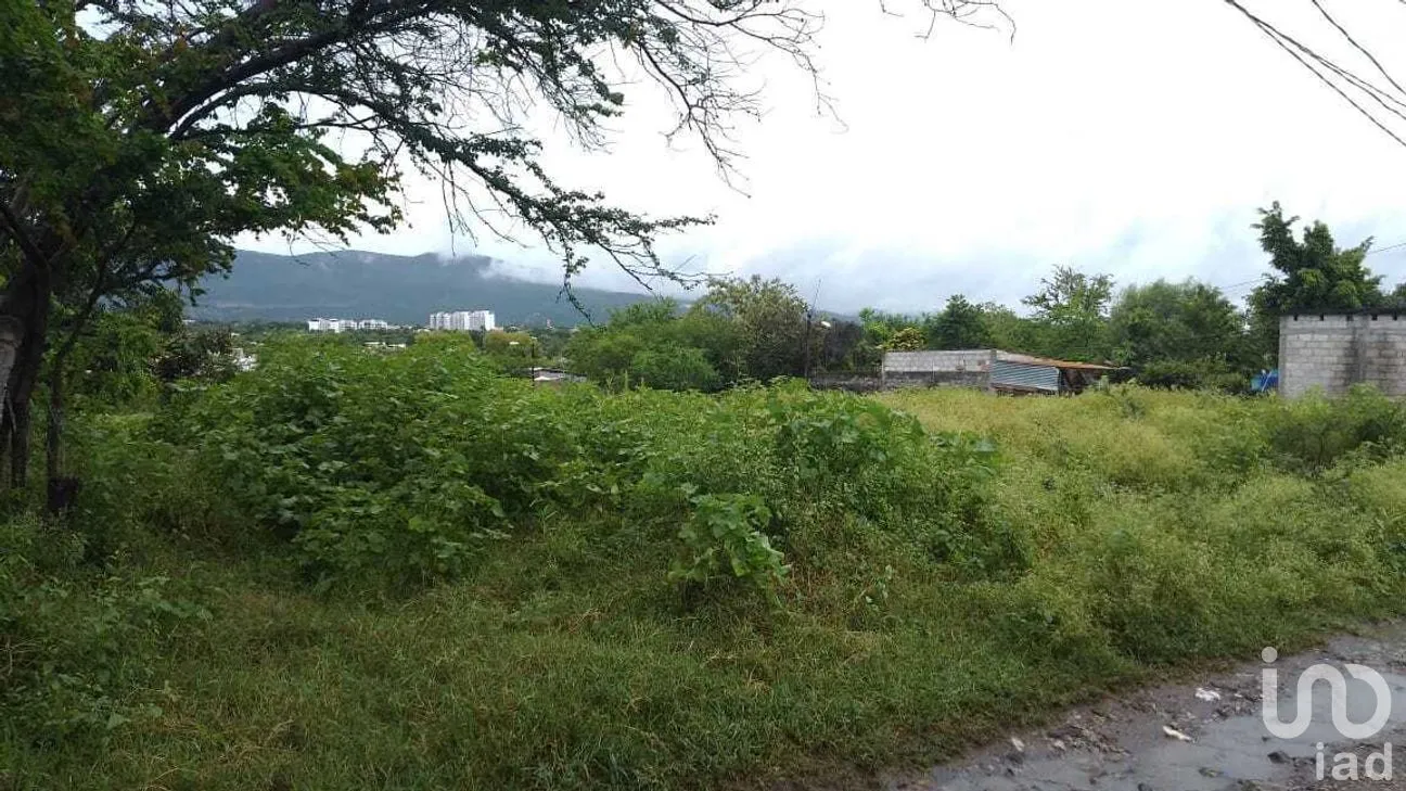 Terreno en Venta en Campo Sotelo, Temixco, Morelos | NEX-281658 | iad México | Foto 12 de 17